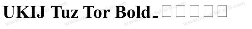 UKIJ Tuz Tor Bold字体转换